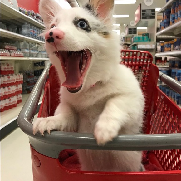 All items beyond this point are SOLD! - Picture 6 of 8